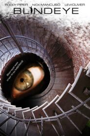 Blind Eye 2007 one on netflix