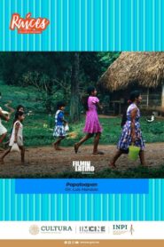 Papaloapan 1981 one on netflix