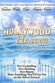 Hollywood Heaven: Tragic Lives, Tragic Deaths 1990 one on netflix