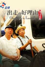 One Step is Enough 2011 one on netflix
