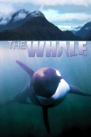 The Whale 2011 one on netflix