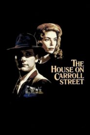 The House on Carroll Street 1988 one on netflix