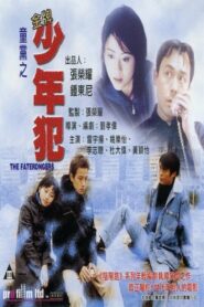 The Faterangers 1999 one on netflix