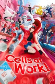 Cells at Work! 2024 one on netflix