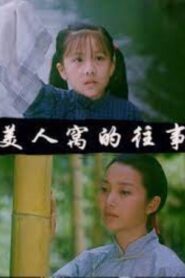 Mei Ren Wo De Wang Shi 2006 one on netflix