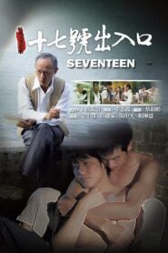 Seventeen 2011 one on netflix