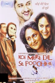 Koi Mere Dil Se Poochhe 2002 one on netflix
