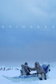 Aningaaq 2013 one on netflix