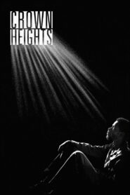 Crown Heights 2017 one on netflix