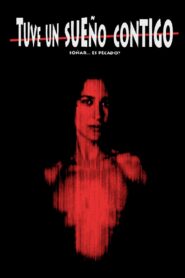 Tuve un sueño contigo 1999 one on netflix