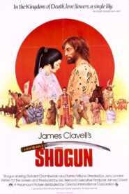Shogun 1980 one on netflix
