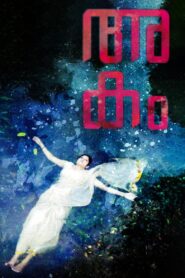 Akam 2013 one on netflix