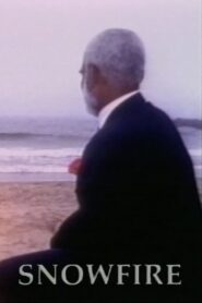 Snowfire 1994 one on netflix