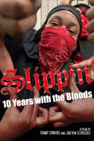 Slippin’: Ten Years with the Bloods 2005 one on netflix