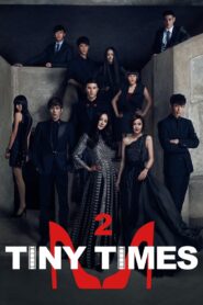 Tiny Times 2 2013 one on netflix