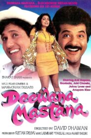 Deewana Mastana 1997 one on netflix