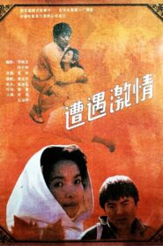遭遇激情 1990 one on netflix