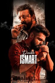 Double iSmart 2024 one on netflix