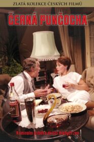 Černá punčocha 1987 one on netflix