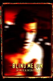 Blind Melon: Intimate and Interactive 1995 one on netflix