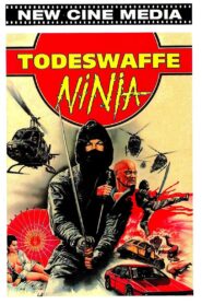Ninja’s Extreme Weapons 1987 one on netflix
