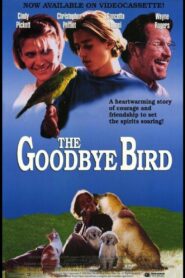 The Goodbye Bird 1994 one on netflix