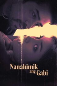 Nanahimik ang Gabi 2022 one on netflix