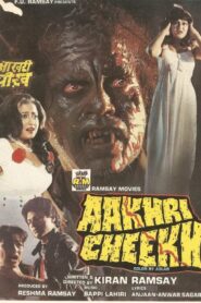 Aakhri Cheekh 1991 one on netflix