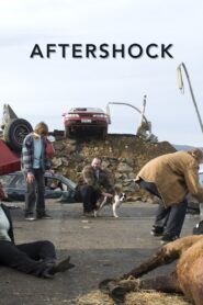 Aftershock 2008 one on netflix