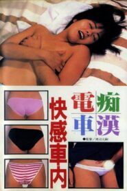 Chikan densha: Kaikan shanai 1987 one on netflix