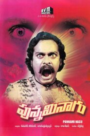 Punnami Naagu 1980 one on netflix