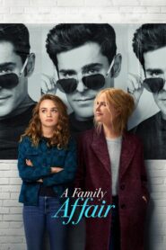 A Family Affair 2024 one on netflix