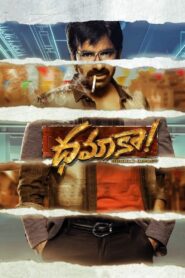 Dhamaka 2022 one on netflix