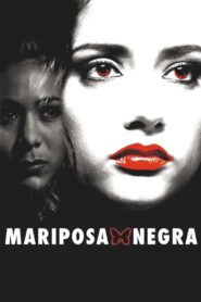 Black Butterfly 2006 one on netflix