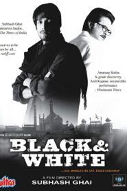 Black & White 2008 one on netflix