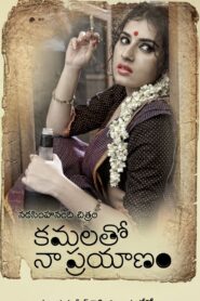 Kamalatho Naa Prayanam 2013 one on netflix