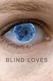 Blind Loves 2008 one on netflix