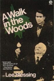 A Walk in the Woods 1988 one on netflix