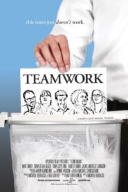 Team Work 2015 one on netflix