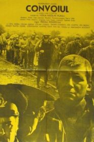 The Convoy 1981 one on netflix