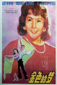 Jin se de meng 1985 one on netflix