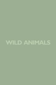 Wild Animals 1980 one on netflix