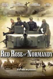 Red Rose of Normandy 2011 one on netflix
