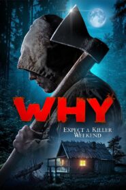Why? 2021 one on netflix