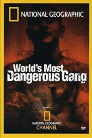 World’s Most Dangerous Gang 2005 one on netflix