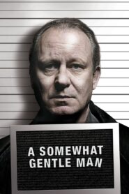 A Somewhat Gentle Man 2010 one on netflix