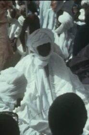 Akazama 1982 one on netflix
