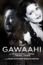 Gawaahi 1989 one on netflix