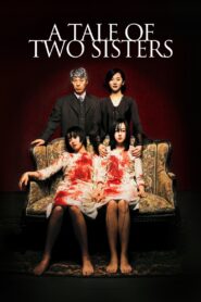 A Tale of Two Sisters 2003 one on netflix