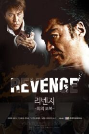Revenge 2011 one on netflix